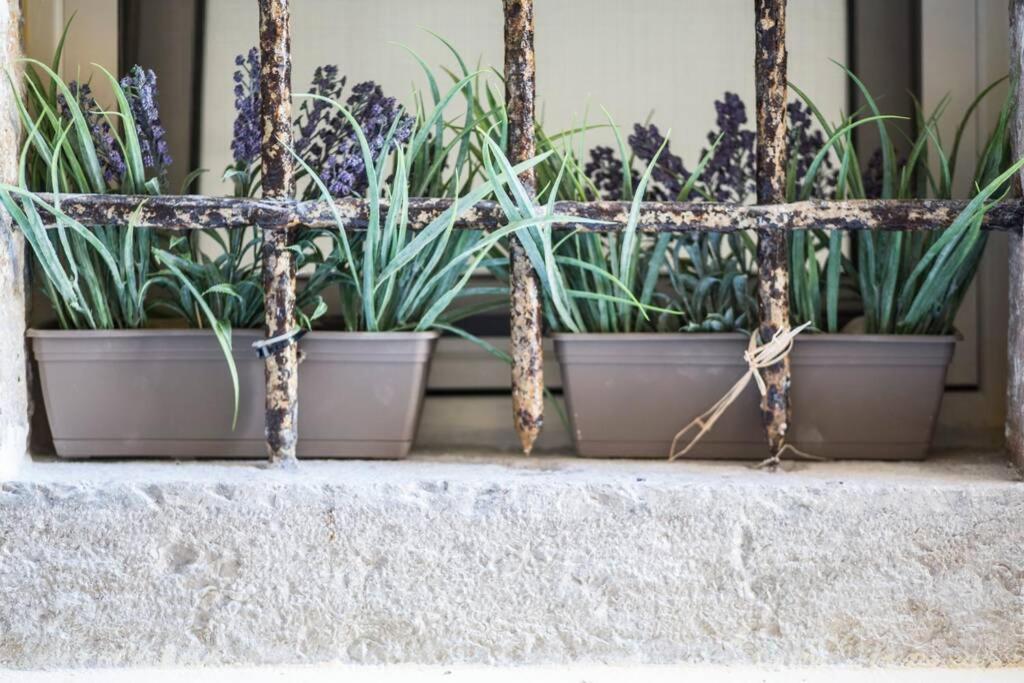 Paravento Lux Studio Apartment Corfu  Bagian luar foto